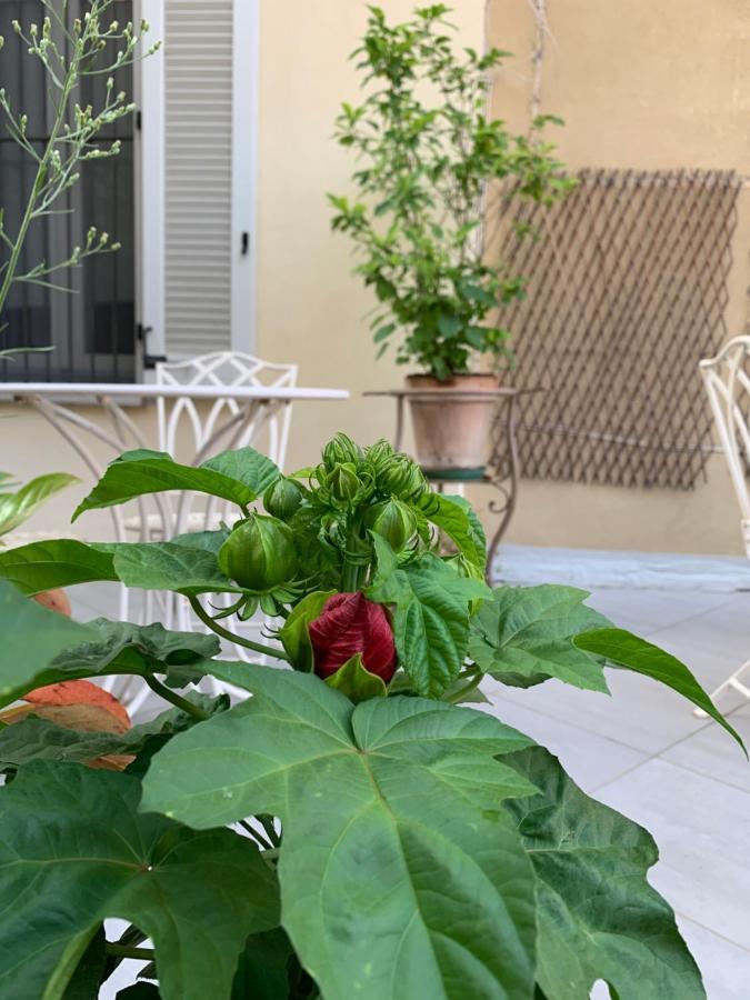 La Terrazza Vercelli Bed & Charme エクステリア 写真