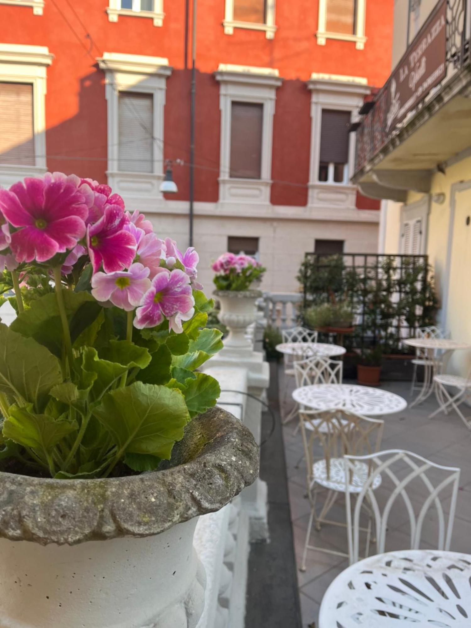 La Terrazza Vercelli Bed & Charme エクステリア 写真